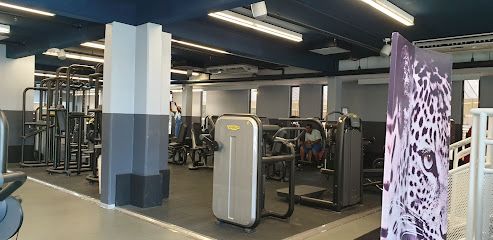 TIssKc-af1qipmtylhfjbhxjwqne_bnseudcsfns2l_qatabqlew493-h240-k-no.jpg