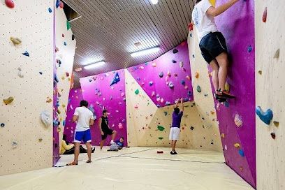 pro-centre-sportif-du-bois-mont-saint-aignan.jpeg