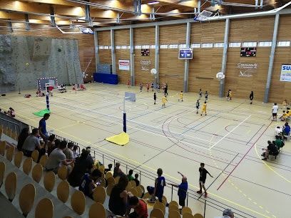 pro-centre-sportif-du-val-de-vienne-aixe-sur-vienne.jpeg