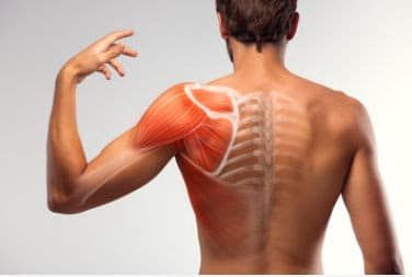 pro-chiromasseur-physiotherapeute-velasquez-orleans.jpeg
