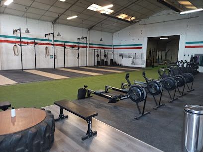 pro-crossfit-avariko-trouy.jpeg