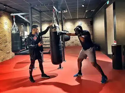 pro-dan-coaching-boxe-coach-sportif-diplome-specialise.jpeg