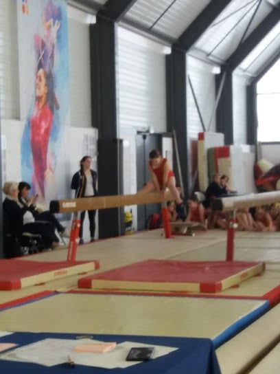 pro-elan-sportif-et-elfes-de-limoges-limoges.jpeg