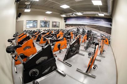 pro-gymaddict-salle-de-sport-cogolin-golfe-de-saint-tr.jpeg
