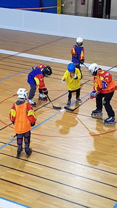 pro-gymnase-frugere-rodez.jpeg