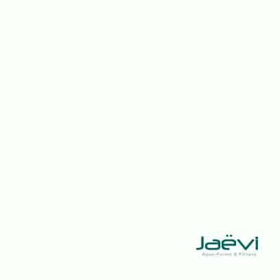 pro-jaevi-macon.jpeg