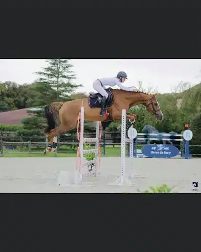 pro-level-jump-montfort-lamaury.jpeg