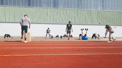 pro-ol-fitness-coach-sportif-begles.jpeg