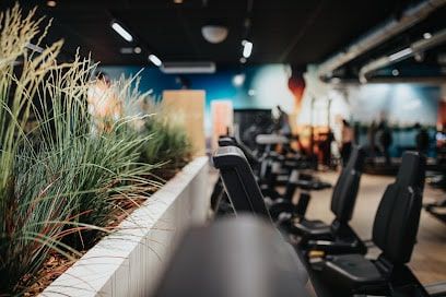 pro-one-fitness-club-fegersheim-fegersheim.jpeg