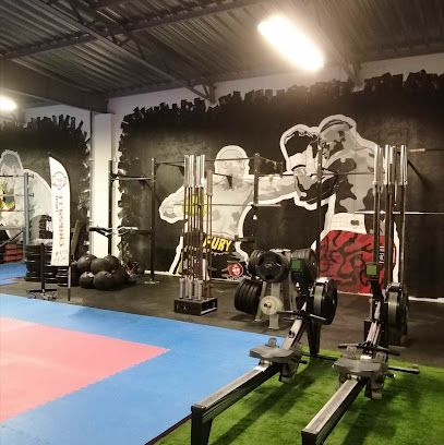pro-vef-coaching-sportif-plaisance-du-touch.jpeg