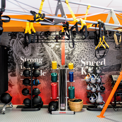 pro-vo2max-studio-saint-malo.jpeg
