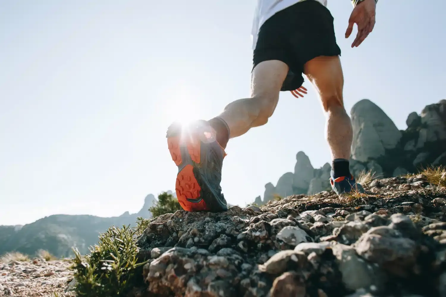 Trail vs Running : quelles différences entre ces deux disciplines ?